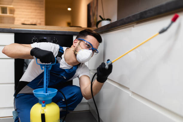 Best Rat Extermination Near Me  in Hudsonville, MI