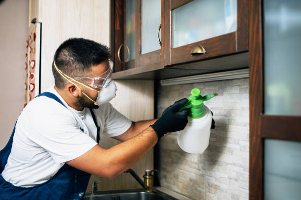 Best Termite Control Services  in Hudsonville, MI