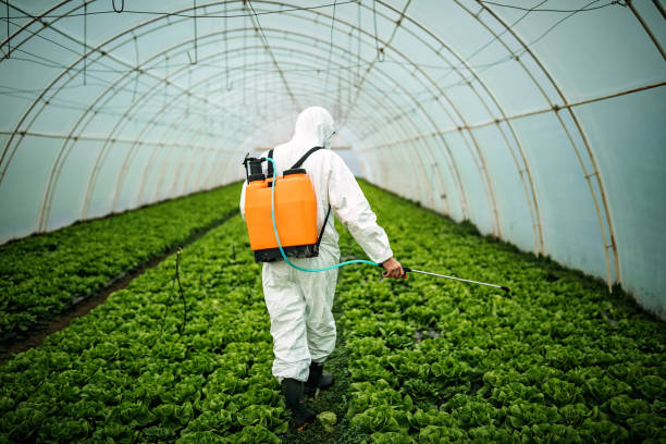Best Pest Control for Businesses  in Hudsonville, MI