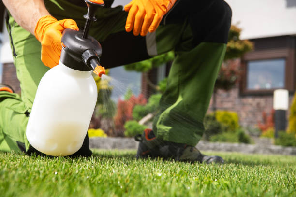 Best Rat Extermination Near Me  in Hudsonville, MI