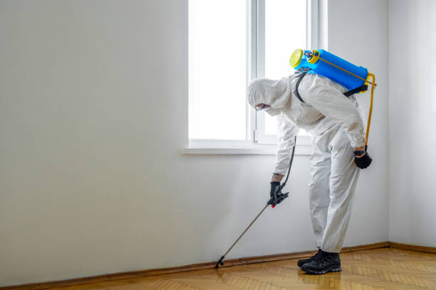 Professional Pest Control in Hudsonville, MI