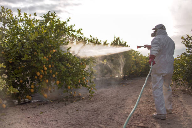 Best Pest Control for Homes  in Hudsonville, MI