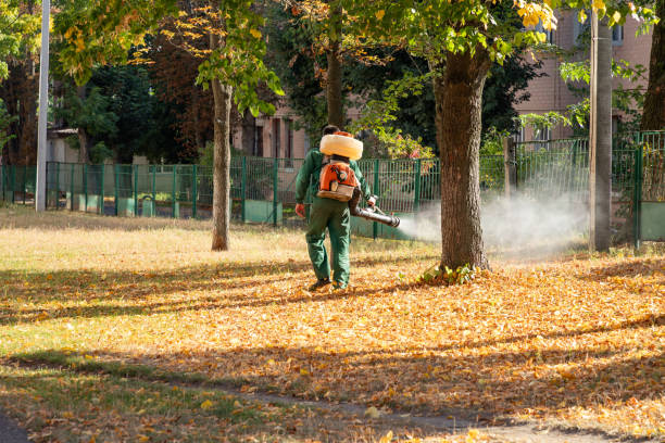 Best Exterminator Services  in Hudsonville, MI