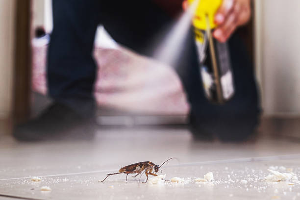 Best Best Pest Control Companies  in Hudsonville, MI