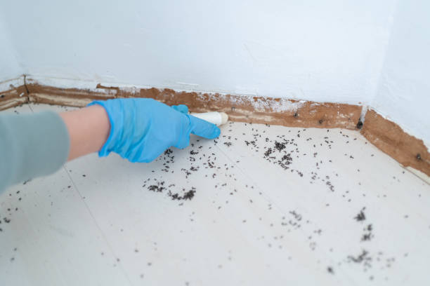 Best Wasp Removal Services  in Hudsonville, MI