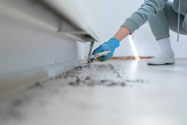 Best Rodent Control Near Me  in Hudsonville, MI
